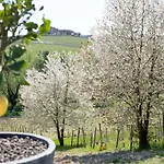Sorriso Dei Maestri Bed & Breakfast 4*