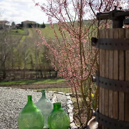 Sorriso Dei Maestri Calosso