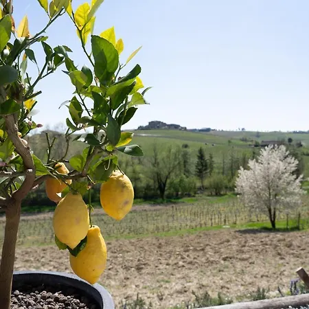 Sorriso Dei Maestri Panzió Calosso