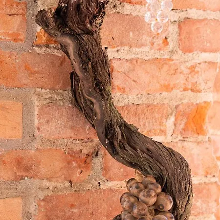 Sorriso Dei Maestri 4*