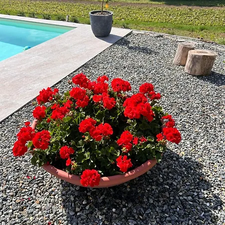 Panzió Sorriso Dei Maestri Calosso