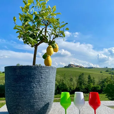 Sorriso Dei Maestri Calosso