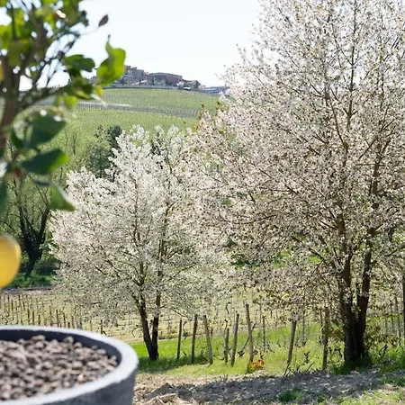 Sorriso Dei Maestri Panzió 4*