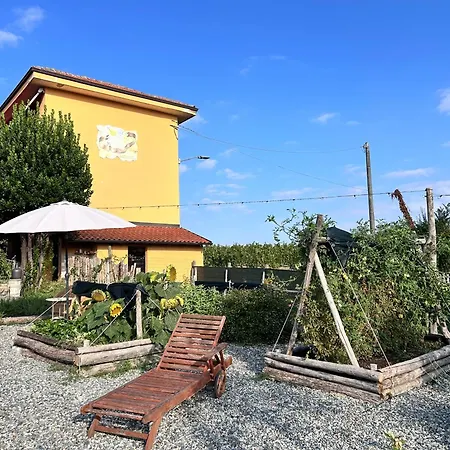 Sorriso Dei Maestri