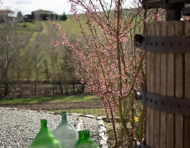 Sorriso Dei Maestri Calosso