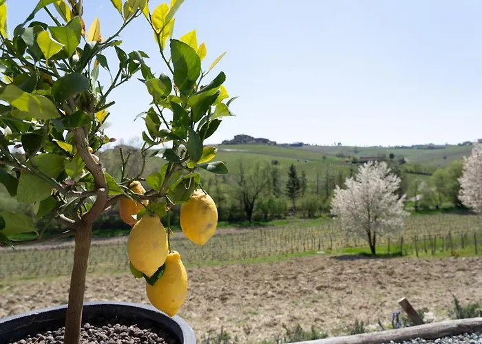 Sorriso Dei Maestri Oda ve Kahvaltı Calosso