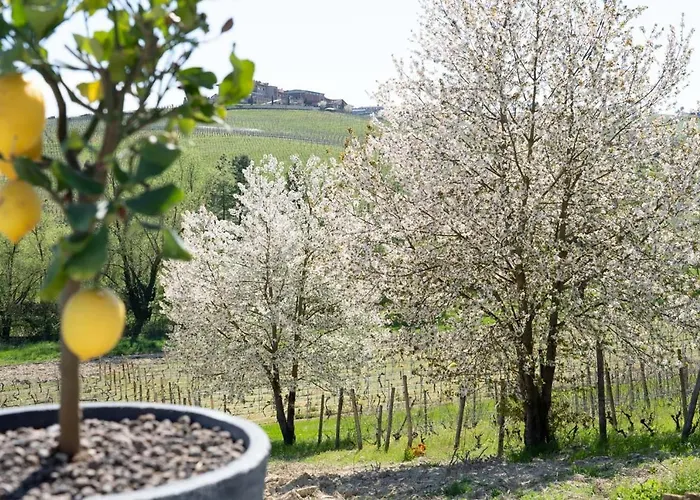 Sorriso Dei Maestri Oda ve Kahvaltı 4*